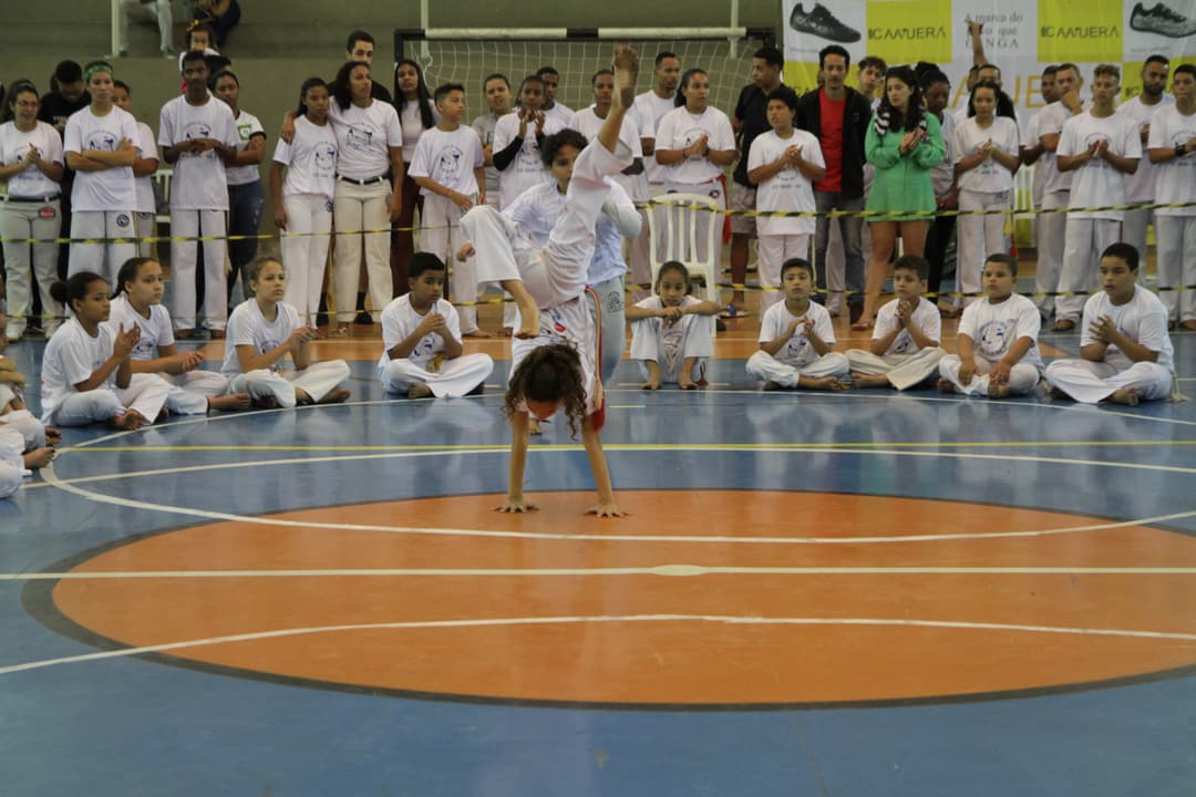 Ginga Arena logo marca